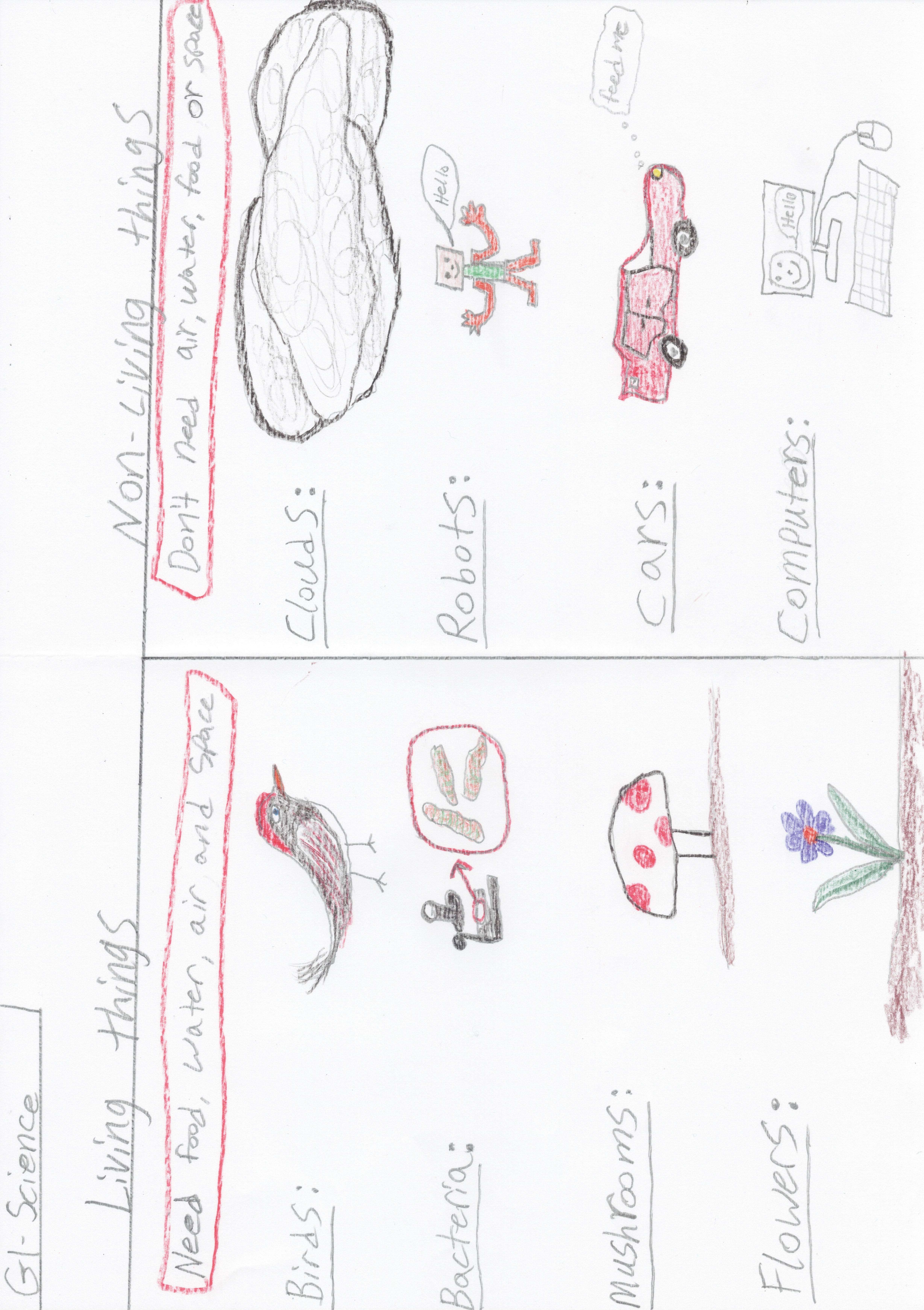 Living and Non-living things